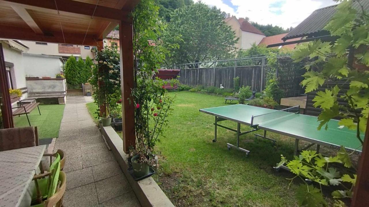 Steinadler Apartman Dog-Friendly, Quiet, Garden House With Private Parking And Beautiful Views Apartamento Murau Exterior foto